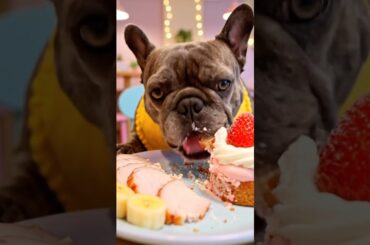 Rare Isabella Frenchie’s FIRST ASMR Mukbang   #ASMRDog #FrenchBulldog #IsabellaFrenchie #DogEating
