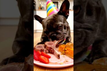 Rare Isabella Frenchie’s FIRST ASMR Mukbang   #ASMRDog #FrenchBulldog #IsabellaFrenchie #DogEating