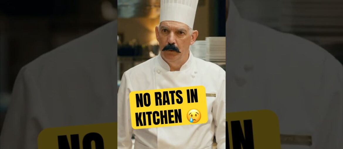 Johnny Rates French Restaurant a 3/10 #johnnyrateseverything #nycfoodie #ratatouille