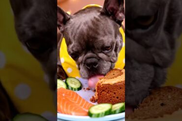 Rare Isabella Frenchie’s FIRST ASMR Mukbang   #ASMRDog #FrenchBulldog #IsabellaFrenchie #DogEating