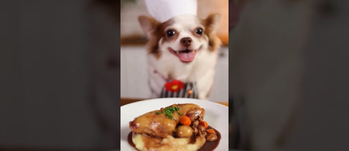 Chicken Bathing in Wine! 🍷🛁 Fancy French Coq au Vin #Shorts Chicken Bathing in Wine! 🍷🛁 Fancy French Coq au Vin #Shorts