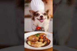 Chicken Bathing in Wine! 🍷🛁 Fancy French Coq au Vin #Shorts