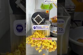 French Cutting Machine | French Fries Machine | 😱Automatic French Fries Cutting Machine #ytshorts