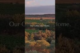 Introducing Château Daurion – French Wine with International Ambition