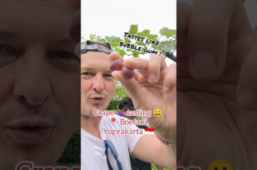 French Guy's Mind is BLOWN by Grapes That Taste Like BUBBLE GUM! 🍇🤯 | Yogyakarta, Indonesia