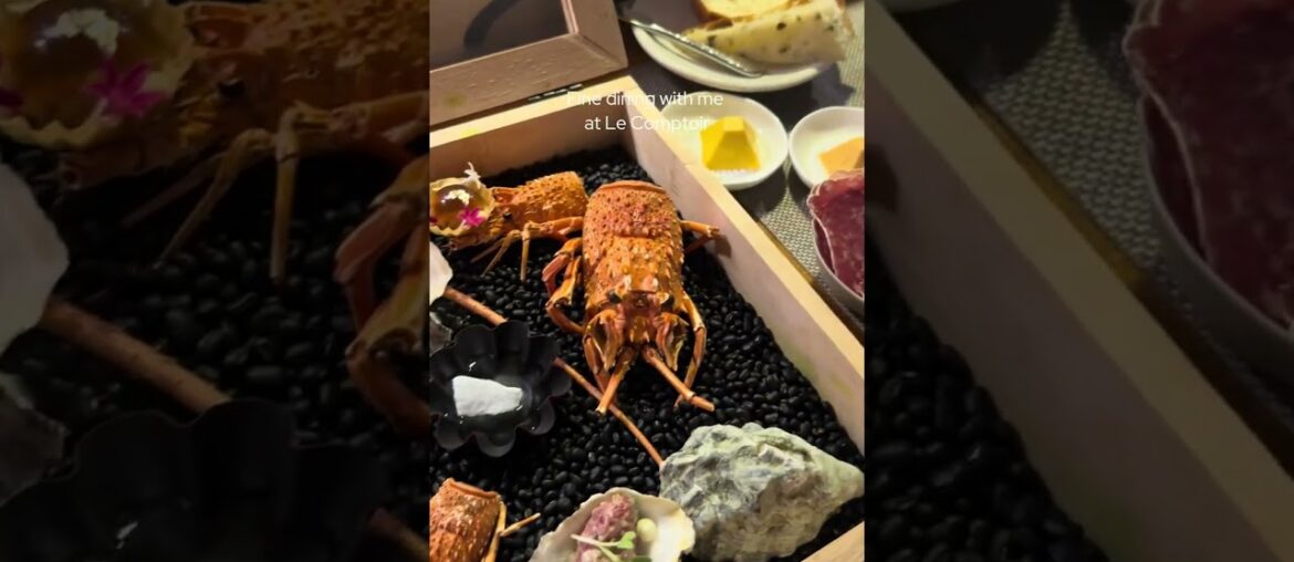 【越南峴港🇻🇳】平民價錢食米芝蓮法國菜？7道菜晚餐開箱！｜Le Comptoir 法國大廚✨ Michelin-rated French Dinner in Da Nang?!