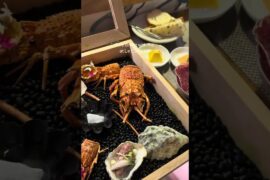 【越南峴港🇻🇳】平民價錢食米芝蓮法國菜？7道菜晚餐開箱！｜Le Comptoir 法國大廚✨ Michelin-rated French Dinner in Da Nang?!