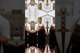 French macarons #music #ekmotahathighumechala #cheesecake #christmascake #food