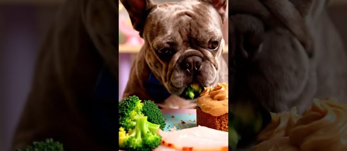 Rare Isabella Frenchie’s FIRST ASMR Mukbang   #ASMRDog #FrenchBulldog #IsabellaFrenchie #DogEating