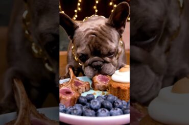 Rare Isabella Frenchie’s FIRST ASMR Mukbang   #ASMRDog #FrenchBulldog #IsabellaFrenchie #DogEating