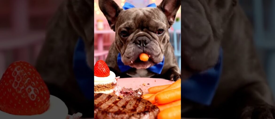 Rare Isabella Frenchie’s FIRST ASMR Mukbang #ASMRDog #FrenchBulldog #IsabellaFrenchie #DogEating Rare Isabella Frenchie’s FIRST ASMR Mukbang #ASMRDog #FrenchBulldog #IsabellaFrenchie #DogEating