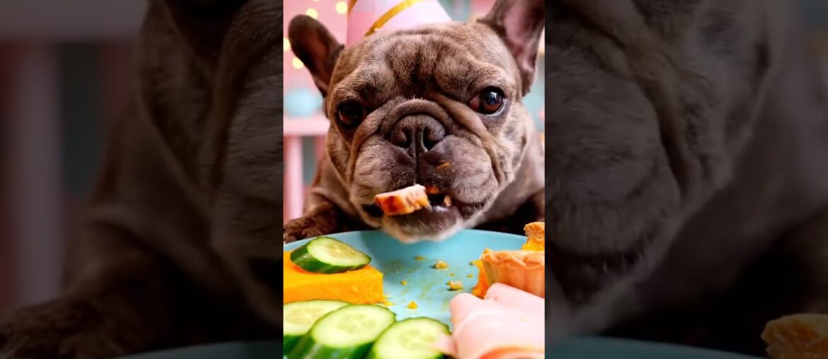 Rare Isabella Frenchie’s FIRST ASMR Mukbang #ASMRDog #FrenchBulldog #IsabellaFrenchie #DogEating Rare Isabella Frenchie’s FIRST ASMR Mukbang #ASMRDog #FrenchBulldog #IsabellaFrenchie #DogEating