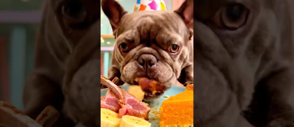 Rare Isabella Frenchie’s FIRST ASMR Mukbang #ASMRDog #FrenchBulldog #IsabellaFrenchie #DogEating Rare Isabella Frenchie’s FIRST ASMR Mukbang #ASMRDog #FrenchBulldog #IsabellaFrenchie #DogEating