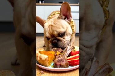Rare Isabella Frenchie’s FIRST ASMR Mukbang   #ASMRDog #FrenchBulldog #IsabellaFrenchie #DogEating