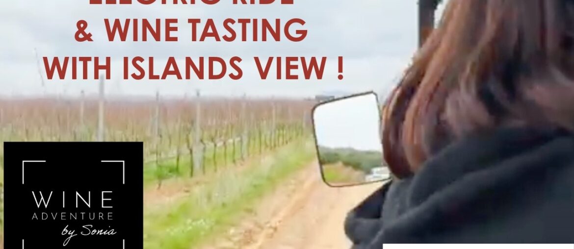 “Electric Ride & Wine Tasting” with islands view "Electric Ride & Wine Tasting" with islands view