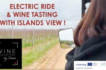 "Electric Ride & Wine Tasting" with islands view