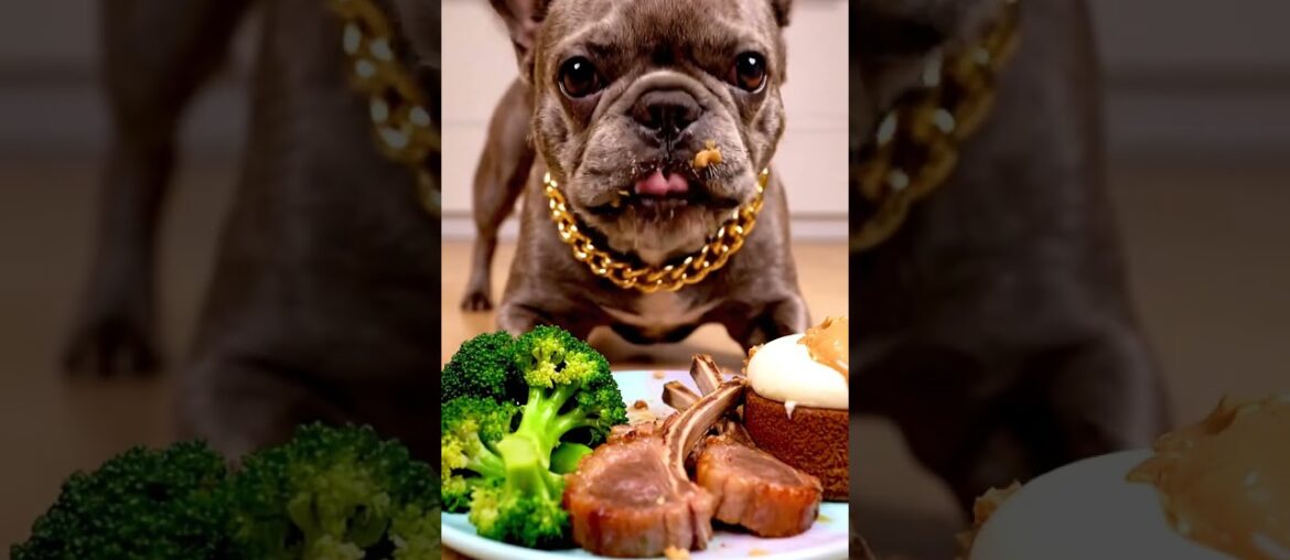 Rare Isabella Frenchie’s FIRST ASMR Mukbang   #ASMRDog #FrenchBulldog #IsabellaFrenchie #DogEating