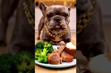 Rare Isabella Frenchie’s FIRST ASMR Mukbang   #ASMRDog #FrenchBulldog #IsabellaFrenchie #DogEating