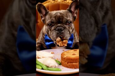 Rare Isabella Frenchie’s FIRST ASMR Mukbang   #ASMRDog #FrenchBulldog #IsabellaFrenchie #DogEating