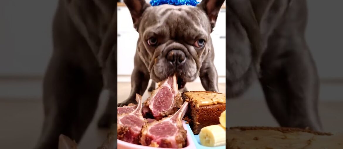 Rare Isabella Frenchie’s FIRST ASMR Mukbang   #ASMRDog #FrenchBulldog #IsabellaFrenchie #DogEating