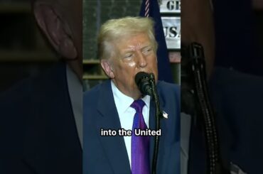 Trump's Tariff Ultimatum to France: He Said YES!