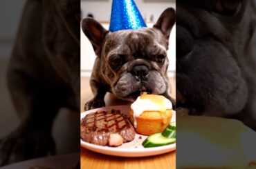 Rare Isabella Frenchie’s FIRST ASMR Mukbang   #ASMRDog #FrenchBulldog #IsabellaFrenchie #DogEating