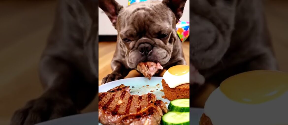 Rare Isabella Frenchie’s FIRST ASMR Mukbang   #ASMRDog #FrenchBulldog #IsabellaFrenchie #DogEating