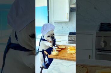 French Bulldog Chef Cooking Gourmet Meal