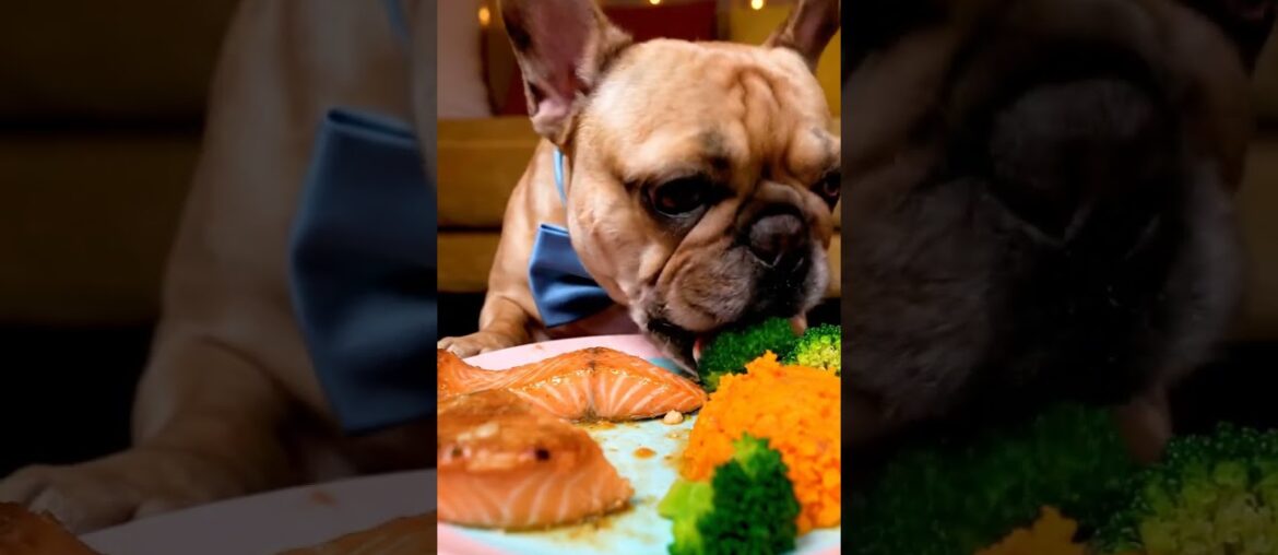 Rare Isabella Frenchie’s FIRST ASMR Mukbang   #ASMRDog #FrenchBulldog #IsabellaFrenchie #DogEating