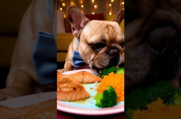 Rare Isabella Frenchie’s FIRST ASMR Mukbang   #ASMRDog #FrenchBulldog #IsabellaFrenchie #DogEating