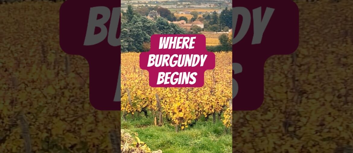 Where Burgundy Wine Actually Begins!