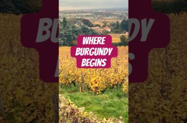 Where Burgundy Wine Actually Begins!