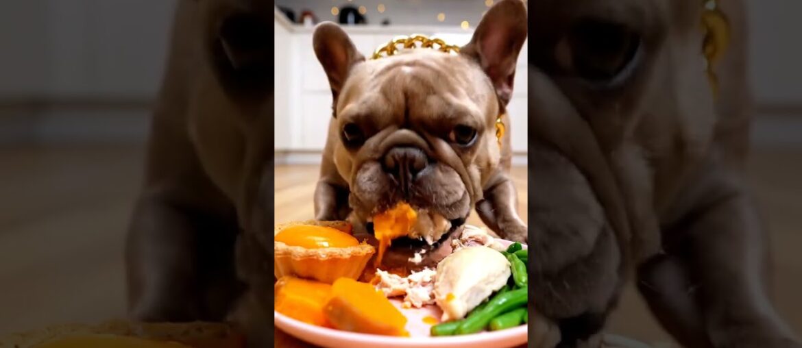 Rare Isabella Frenchie’s FIRST ASMR Mukbang   #ASMRDog #FrenchBulldog #IsabellaFrenchie #DogEating