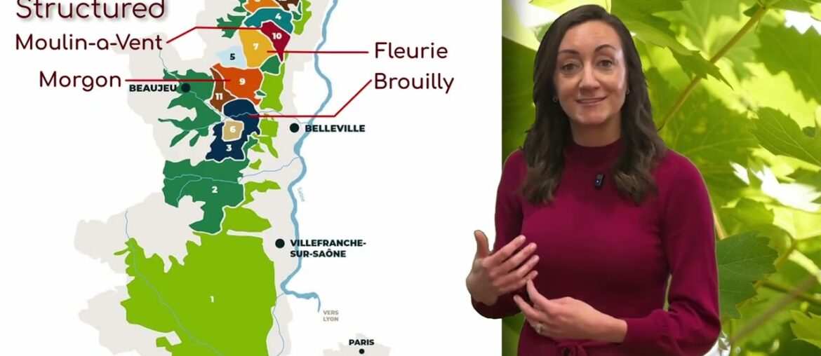 Looking at Beaujolais for WSET Level 3 from @winebeerspirits