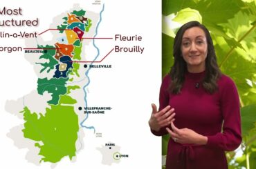 Looking at Beaujolais for WSET Level 3 from @winebeerspirits