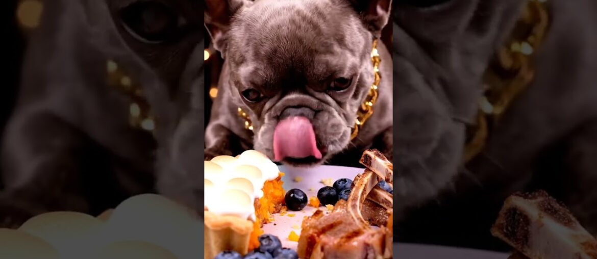Rare Isabella Frenchie’s FIRST ASMR Mukbang   #ASMRDog #FrenchBulldog #IsabellaFrenchie #DogEating