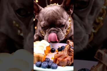 Rare Isabella Frenchie’s FIRST ASMR Mukbang   #ASMRDog #FrenchBulldog #IsabellaFrenchie #DogEating