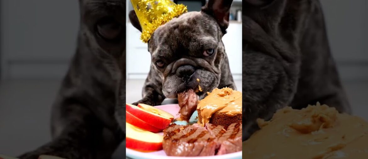 Rare Isabella Frenchie’s FIRST ASMR Mukbang   #ASMRDog #FrenchBulldog #IsabellaFrenchie #DogEating