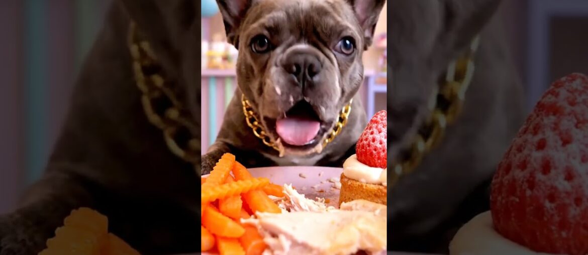 Rare Isabella Frenchie’s FIRST ASMR Mukbang   #ASMRDog #FrenchBulldog #IsabellaFrenchie #DogEating