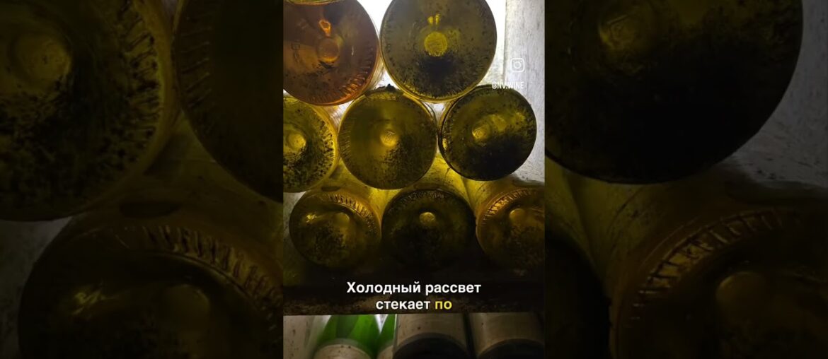 Почему я влюбилась в Шабли? Моя честная история 🥂