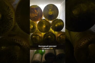 Почему я влюбилась в Шабли? Моя честная история 🥂