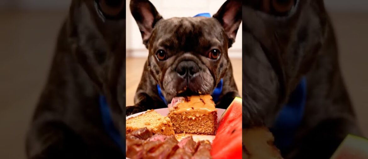 Rare Isabella Frenchie’s FIRST ASMR Mukbang   #ASMRDog #FrenchBulldog #IsabellaFrenchie #DogEating