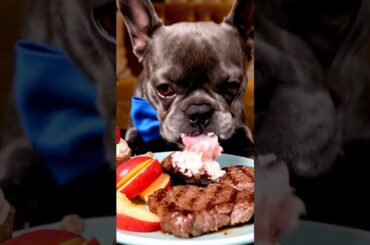 Rare Isabella Frenchie’s FIRST ASMR Mukbang   #ASMRDog #FrenchBulldog #IsabellaFrenchie #DogEating