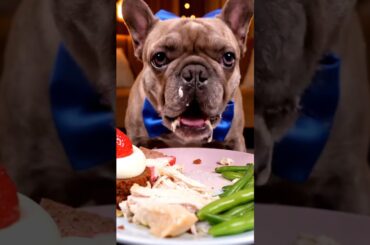 Rare Isabella Frenchie’s FIRST ASMR Mukbang   #ASMRDog #FrenchBulldog #IsabellaFrenchie #DogEating