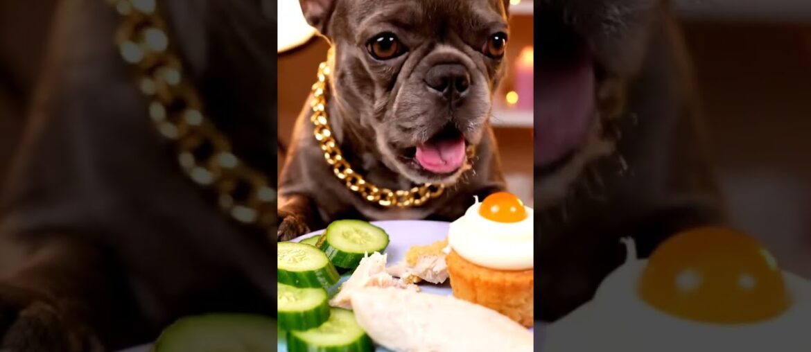 Rare Isabella Frenchie’s FIRST ASMR Mukbang   #ASMRDog #FrenchBulldog #IsabellaFrenchie #DogEating