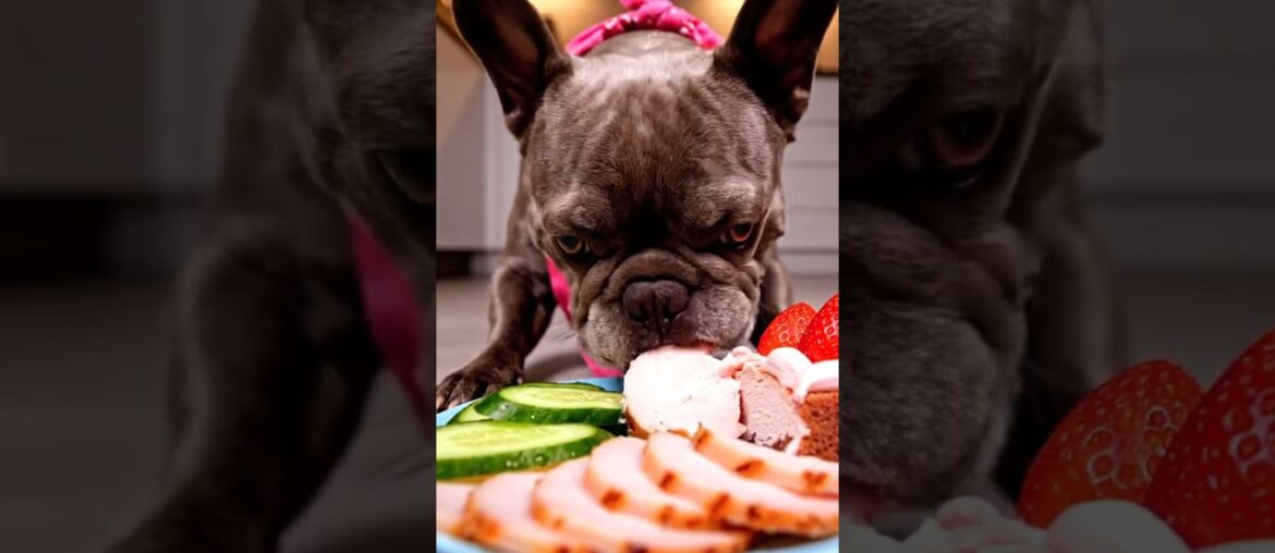 Rare Isabella Frenchie’s FIRST ASMR Mukbang   #ASMRDog #FrenchBulldog #IsabellaFrenchie #DogEating
