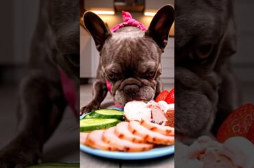 Rare Isabella Frenchie’s FIRST ASMR Mukbang   #ASMRDog #FrenchBulldog #IsabellaFrenchie #DogEating