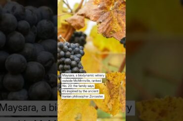 You don’t need to fly to France: These 2 Oregon wineries just made the world’s top 50 list