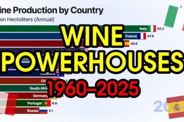 Wine Production Race 🍷 #shorts