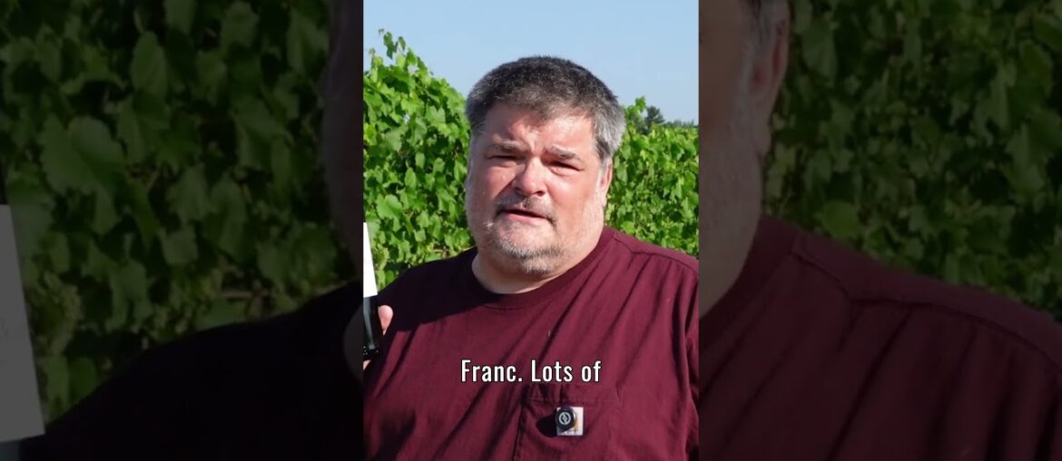 Une Minute Pour Vin : Chateau Grand-Puy-Lacoste 2022 Lacoste Borie